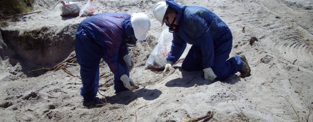 Asbestos Removal